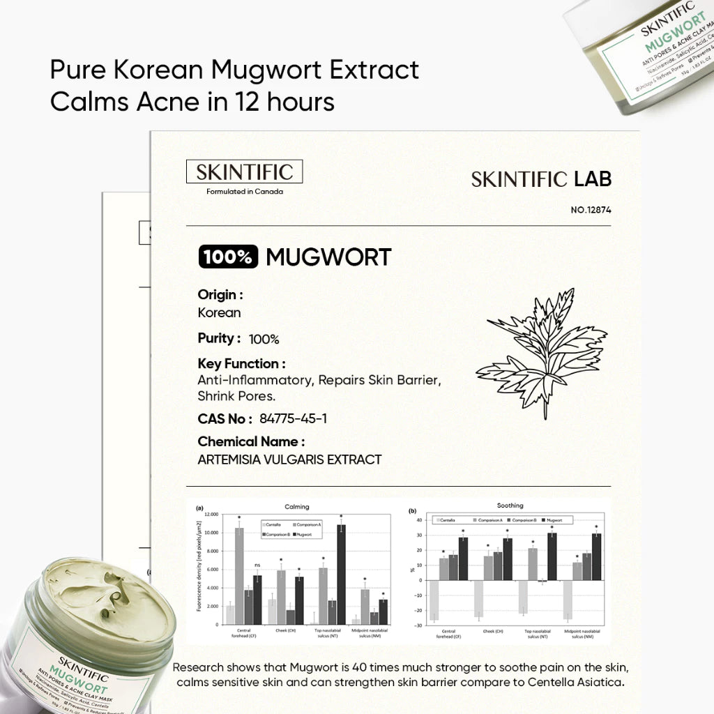 Mugwort Anti Pores & Acne Clay Mask